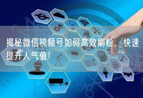 揭秘微信视频号如何高效刷粉，快速提升人气值！