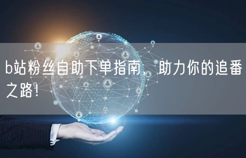 b站粉丝自助下单指南，助力你的追番之路！