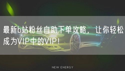 最新b站粉丝自助下单攻略，让你轻松成为VIP中的VIP！