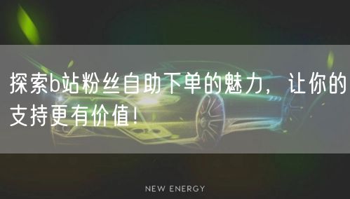 探索b站粉丝自助下单的魅力，让你的支持更有价值！