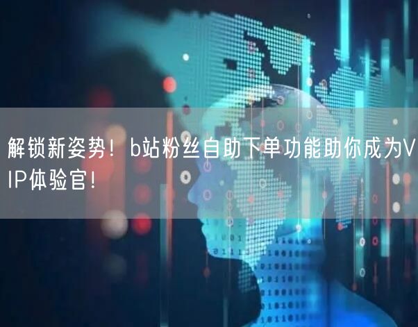 解锁新姿势！b站粉丝自助下单功能助你成为VIP体验官！