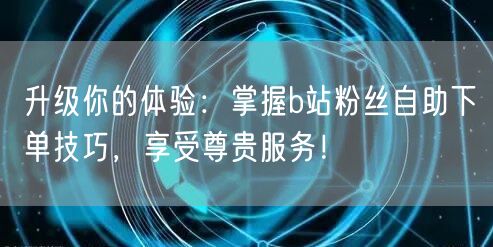 升级你的体验：掌握b站粉丝自助下单技巧，享受尊贵服务！
