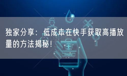 独家分享：低成本在快手获取高播放量的方法揭秘！