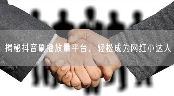 揭秘抖音刷播放量平台，轻松成为网红小达人