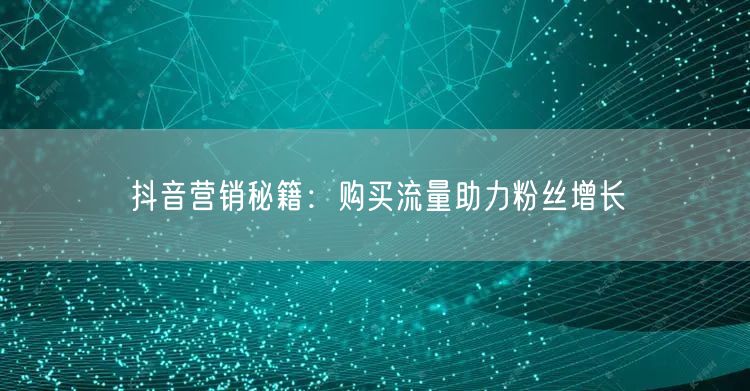 抖音营销秘籍：购买流量助力粉丝增长