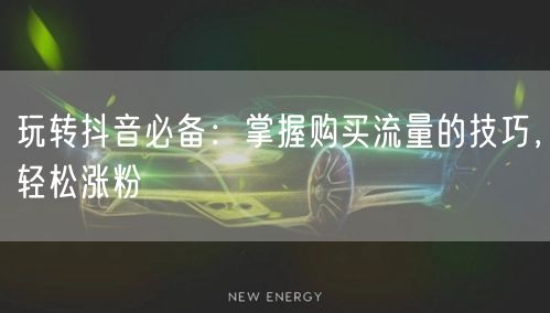 玩转抖音必备：掌握购买流量的技巧，轻松涨粉