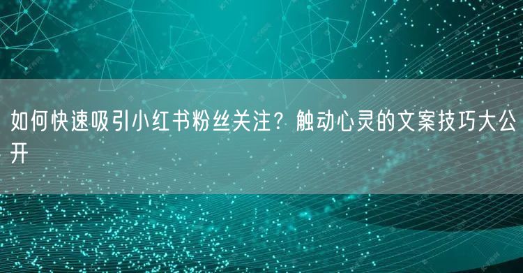 如何快速吸引小红书粉丝关注？触动心灵的文案技巧大公开