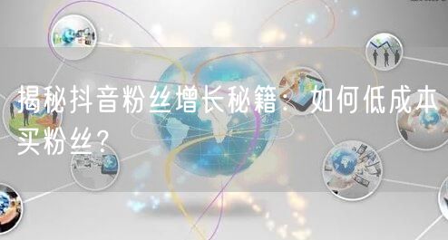 揭秘抖音粉丝增长秘籍：如何低成本买粉丝？