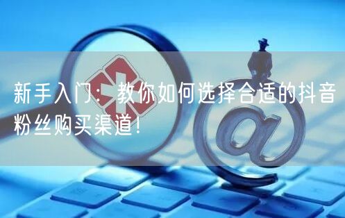 新手入门：教你如何选择合适的抖音粉丝购买渠道！