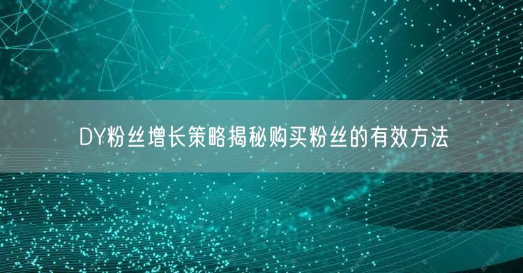 DY粉丝增长策略揭秘购买粉丝的有效方法