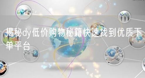 揭秘dy低价购物秘籍快速找到优质下单平台