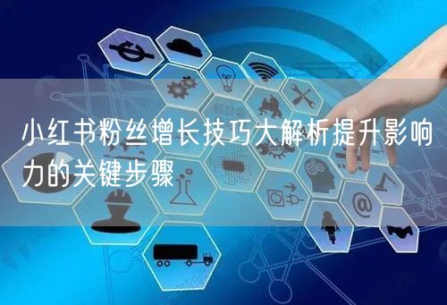 小红书粉丝增长技巧大解析提升影响力的关键步骤