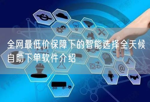 全网最低价保障下的智能选择全天候自助下单软件介绍