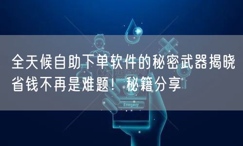 全天候自助下单软件的秘密武器揭晓省钱不再是难题！秘籍分享