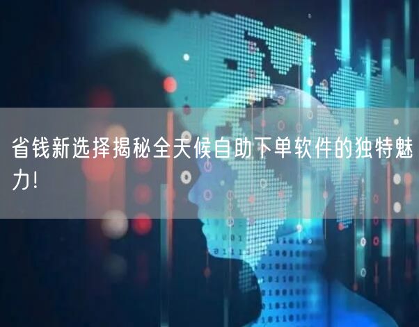省钱新选择揭秘全天候自助下单软件的独特魅力！