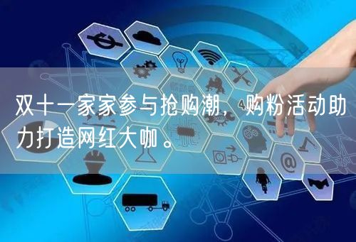 双十一家家参与抢购潮,购粉活动助力打造网红大咖。