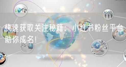 快速获取关注秘籍：小红书粉丝平台助你成名！