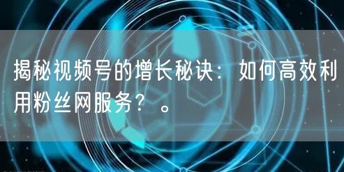 揭秘视频号的增长秘诀：如何高效利用粉丝网服务？。