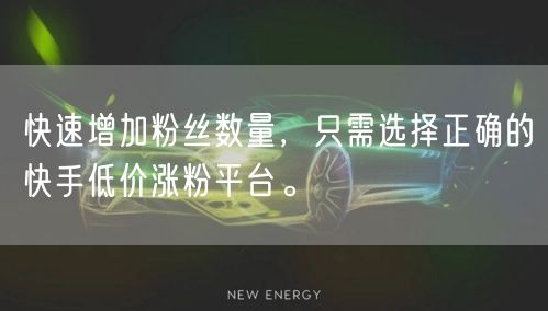 快速增加粉丝数量，只需选择正确的快手低价涨粉平台。