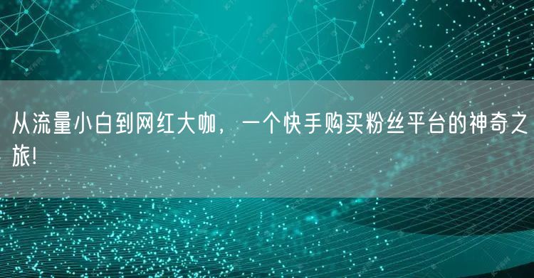 从流量小白到网红大咖，一个快手购买粉丝平台的神奇之旅!