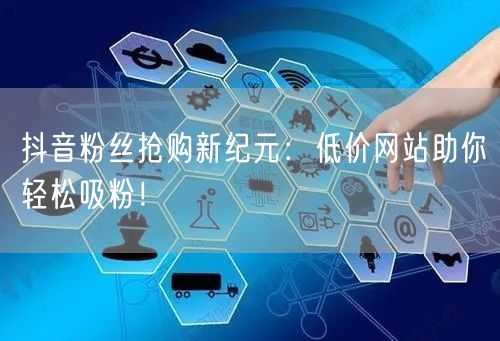 抖音粉丝抢购新纪元：低价网站助你轻松吸粉！
